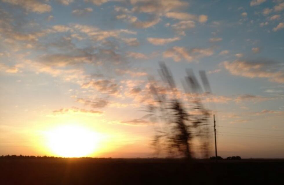 Fuertes ráfagas de viento Norte en Río Cuarto