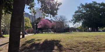 Pronóstico para el Día de la Primavera\u002E (Web)