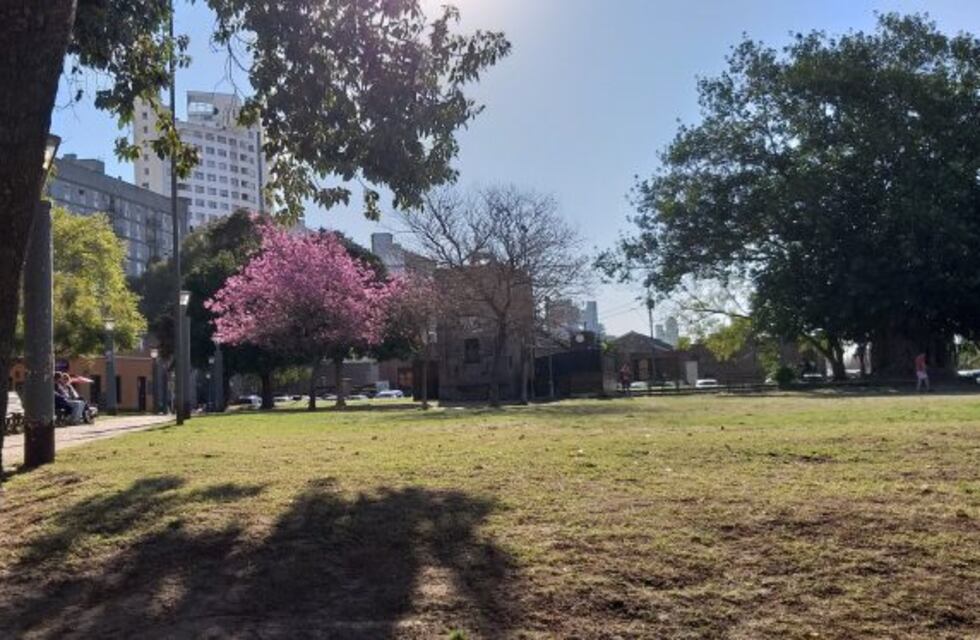 El Día de la Primavera llegó con un pronóstico inmejorable: cielo despejado, sol y calorcito