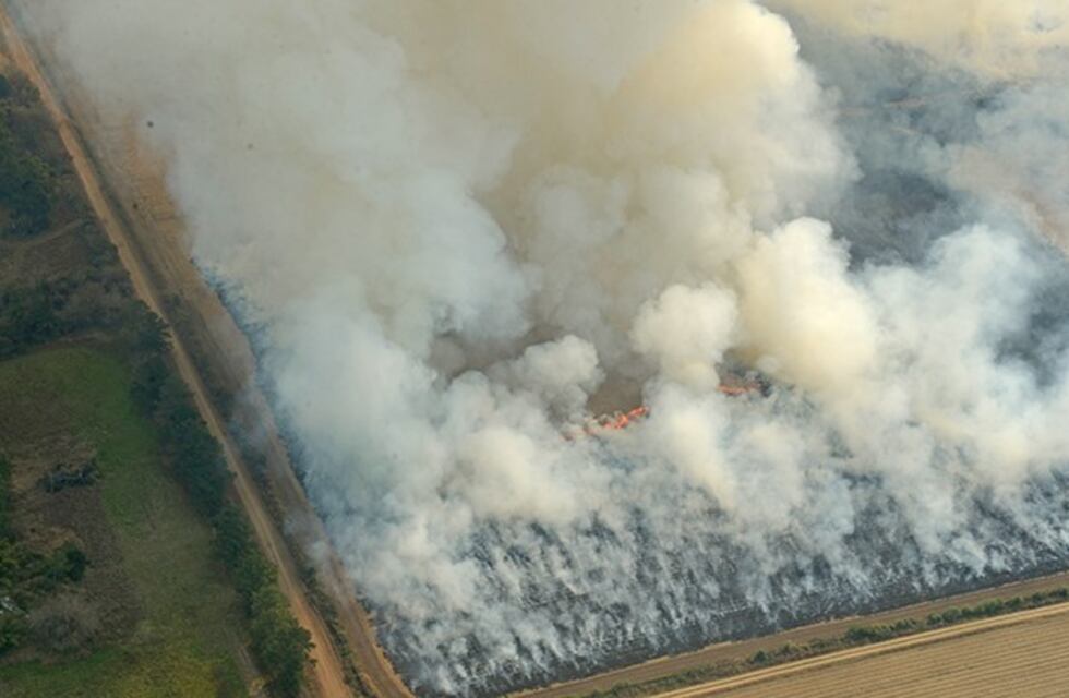 Quema de cañaverales: controles aéreos y terrestres
