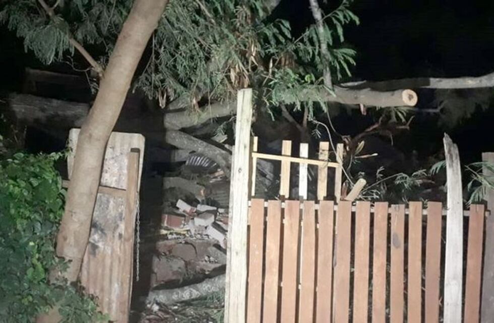Un árbol cayó y destruyó una casa pero se salvaron sus ocupantes