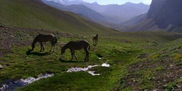 Los terrenos que se licitarán la semana próxima, en Tunuyán, no son los que están en una disputa judicial, denominados La remontada\u002E