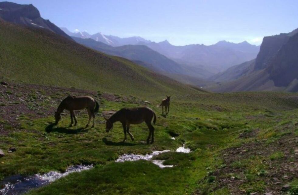 Venderán 300 hectáreas del Ejército en Campo Los Andes