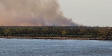 Las llamas se propagaron a ambos lados de la ruta del puente a Victoria\u002E (Vía Rosario)
