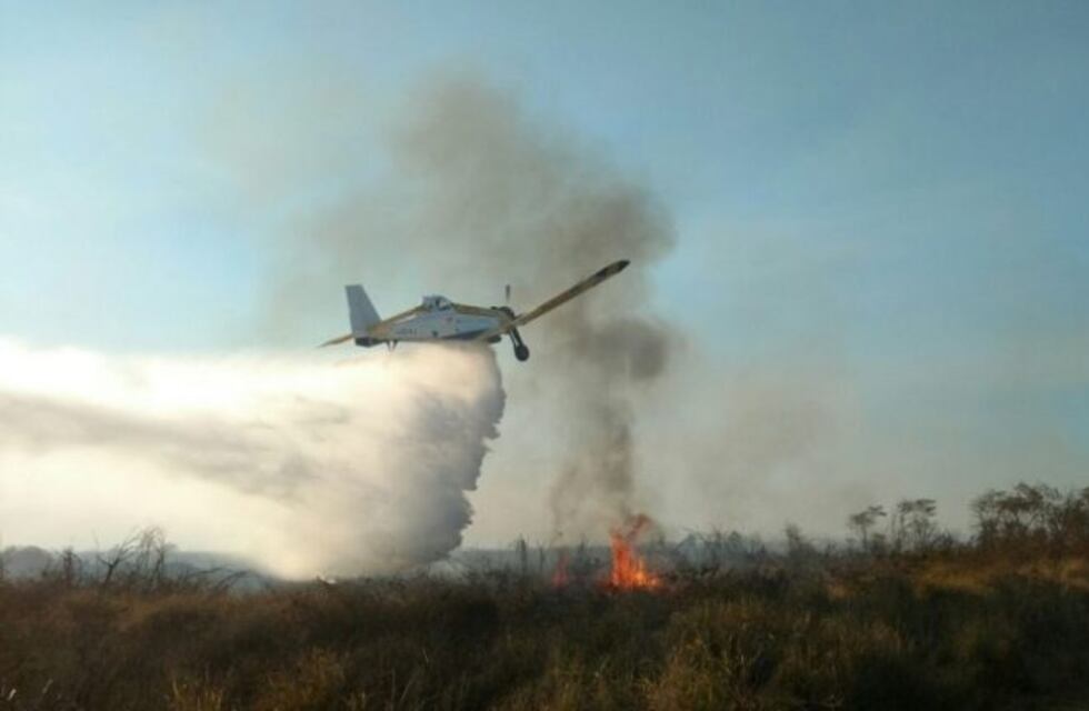 El incendio en el Parque Nacional Calilegua está en vías de ser extinguido