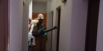 Intensifican la lucha contra el Dengue\u002E