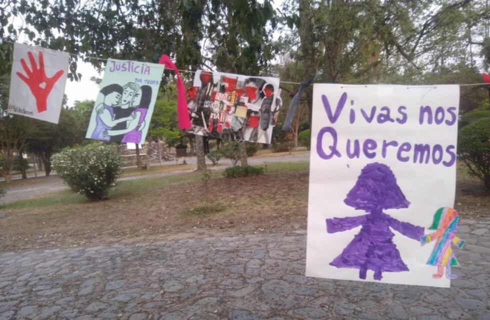 El 33% de las víctimas de femicidio en Salta habían hecho denuncias previas