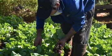 Continúan las capacitaciones para los productores locales de Eldorado