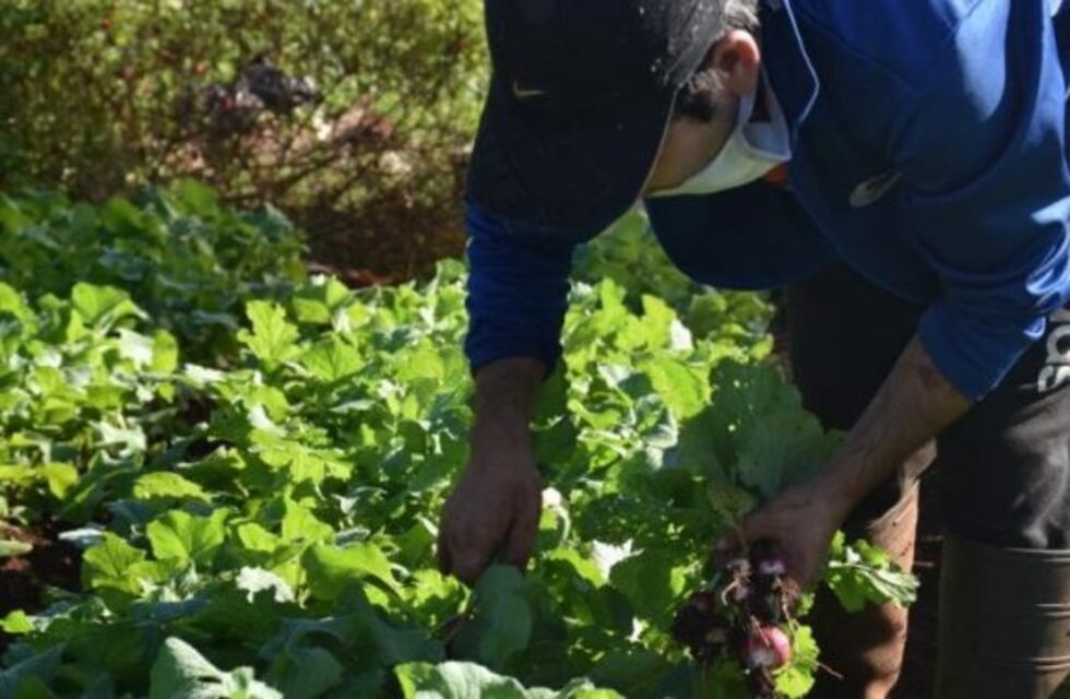 Continúan las capacitaciones para los productores locales de Eldorado