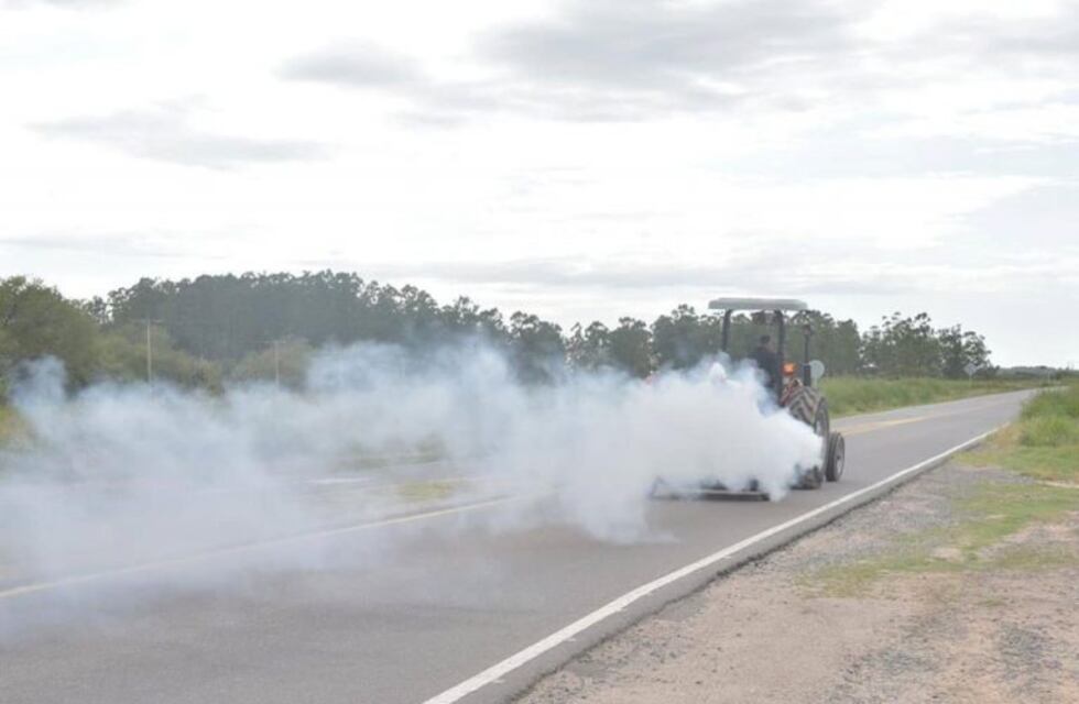 Arroyito: con casos confirmados de Encefalomielitis Equina, se llevan adelante medidas de prevención