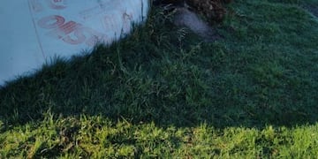 Ataque a silobolsas en Josefina