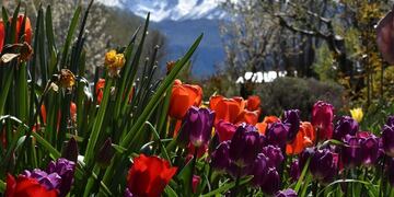 Muestra fotográfica\u002E