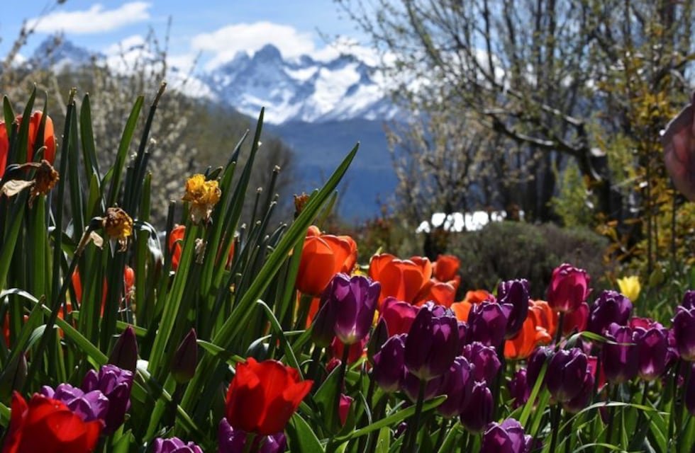 Muestra fotográfica de gigantografías en el Centro Cultural Provincial