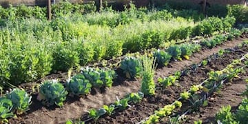 La actividad se realiza con la ayuda del INTA para una soberanía alimentaria familiar\u002E