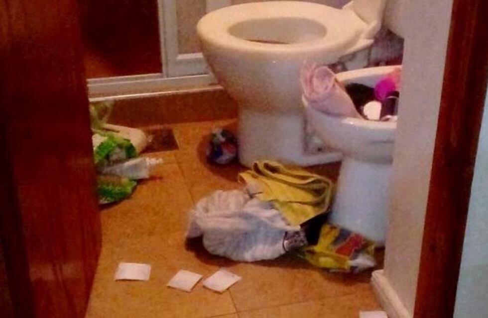 Robaron en una vivienda de La Emilia y se llevaron hasta el perro