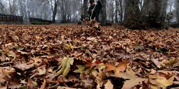 SRINAGAR (INDIA) 18/11/2010\u002E- Un niño musulman apila hojas secas para recolectarlas y usarlas como combustible para una estufa en Srinagar, la capital estival de la parte de Cachemira bajo administración india, hoy, jueves, 18 de noviembre de 2010\u002E Los cachemiros recolectan hojas secas durante el otoño para calentar sus hogares en invierno\u002E EFE/Farooq Khan\r\n srinagar india niño juntando hojas para su estufa india recoleccion hojas para calefaccion