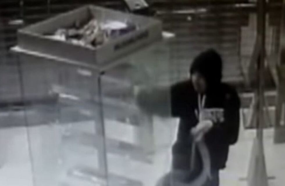 Video: así robaron 37 celulares en pleno centro de San Martín