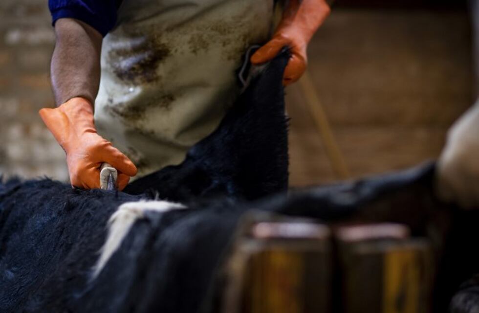 Coronavirus en Argentina: suman actividades a las ya exceptuadas en plena cuarentena