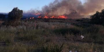 Incendio en Pehuen Co
