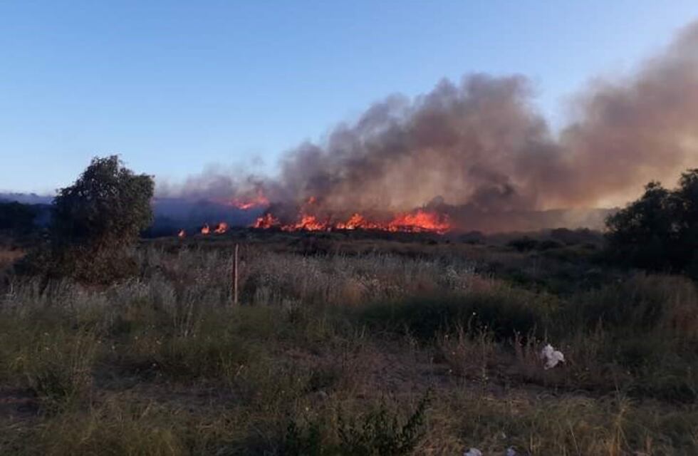Ola de calor: recomendaciones para la prevención de incendios forestales