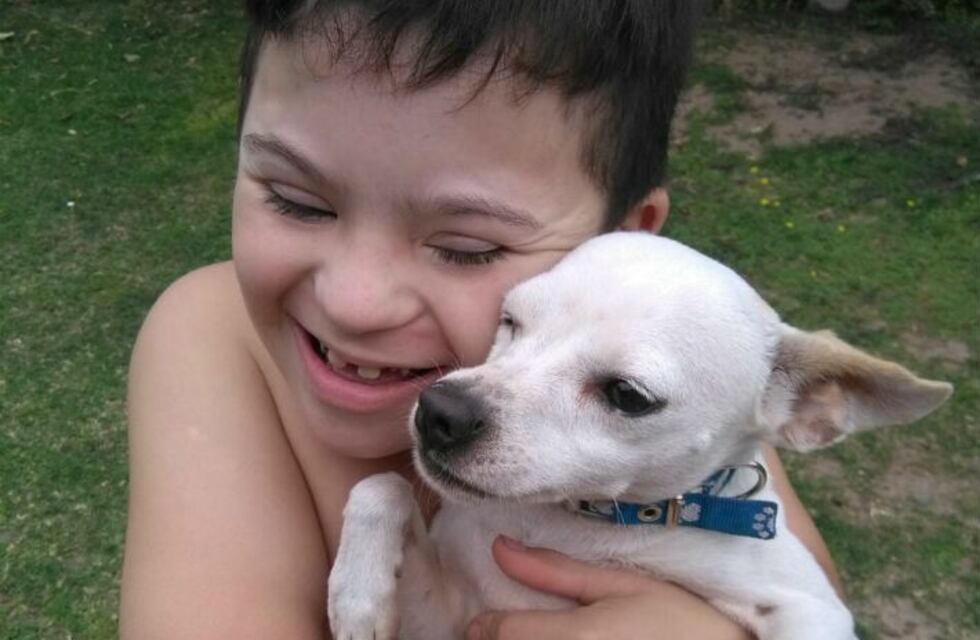 Ulises recuperó a su mascota gracias a un vecino