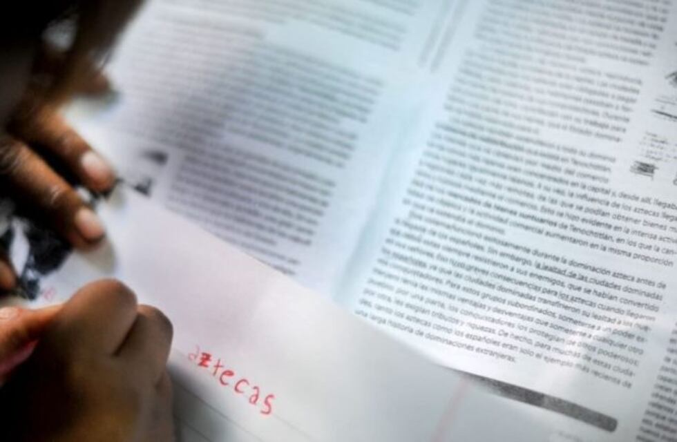 Alumnos bonaerenses ya pueden descargar nuevos contenidos educativos