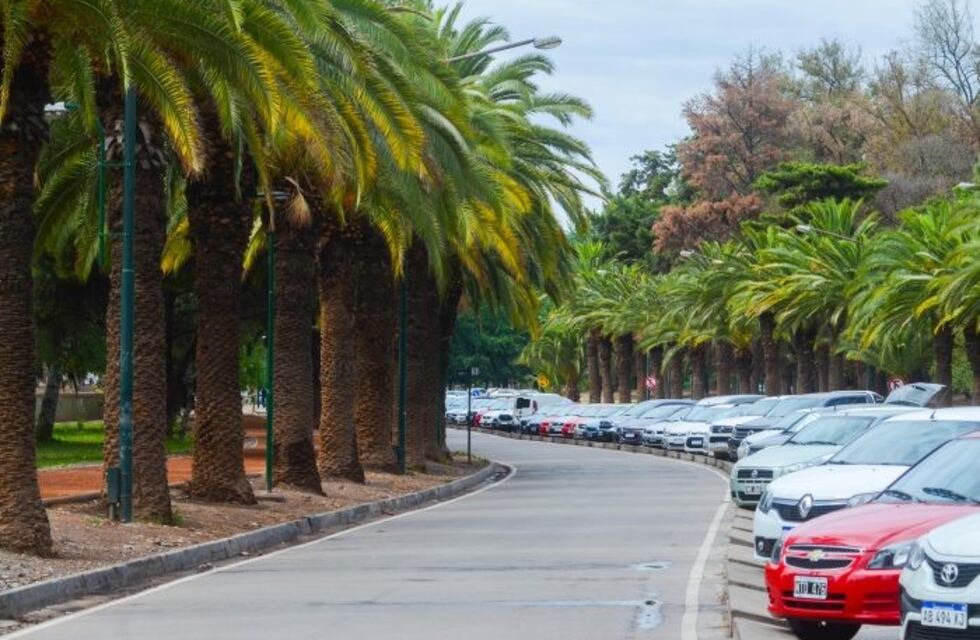 Estacionar en el Parque ya no será tan fácil: conocé las nuevas normas