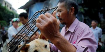 Yulin (China), 20/06/2016.- A vendor waits for buyers as he closes a cage with a dog for sale at a market in Yulin city, southern China's Guangxi province, 20 June 2016. Yulin dog meat festival will fall on 21 June 2016, the day of summer solstice, a day that many local people celebrate by eating dog meat, causing escalating conflicts between activists and dog vendors. EFE/EPA/WU HONG yulin china Festival de carne de perro festival anual tradicional en el primer dia del solsticio de verano vendedores venden carne de perro en un mercado