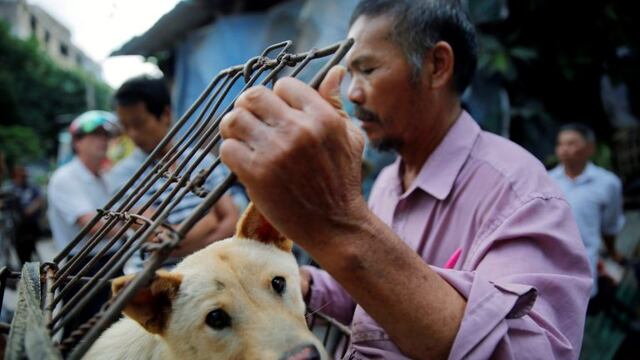 Yulin (China), 20/06/2016.- A vendor waits for buyers as he closes a cage with a dog for sale at a market in Yulin city, southern China's Guangxi province, 20 June 2016. Yulin dog meat festival will fall on 21 June 2016, the day of summer solstice, a day that many local people celebrate by eating dog meat, causing escalating conflicts between activists and dog vendors. EFE/EPA/WU HONG yulin china Festival de carne de perro festival anual tradicional en el primer dia del solsticio de verano vendedores venden carne de perro en un mercado