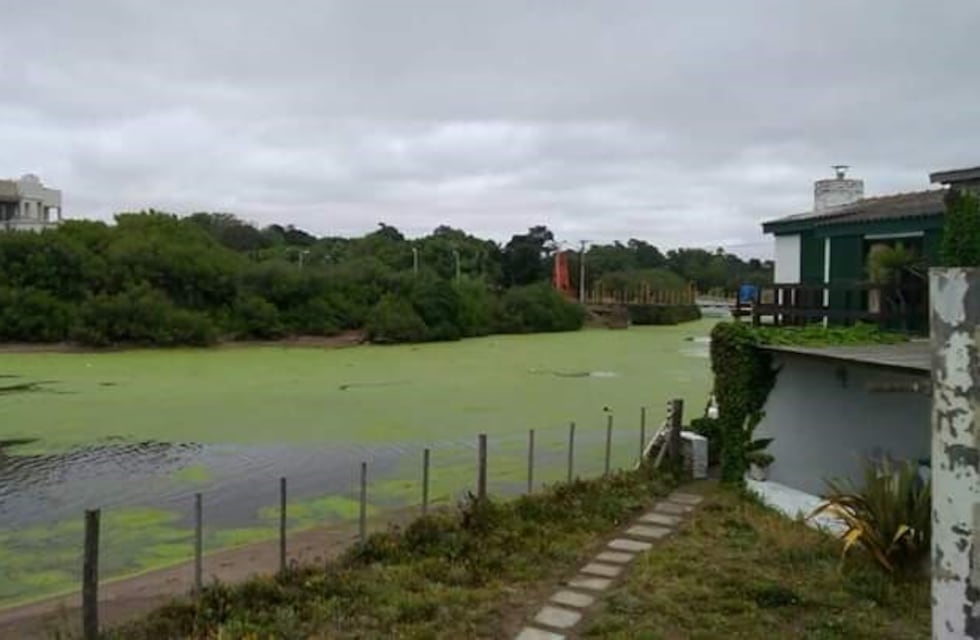 Lentejas de agua: Ola Verde en Claromecó y Dunamar.