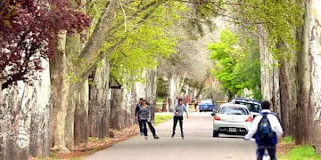 Coronavirus en el sur mendocino: detectaron 30 contagios y 17 pacientes se recuperaron