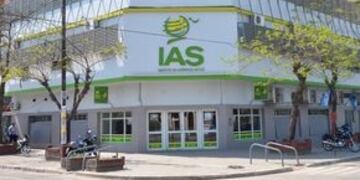 El Instituto de Asistencia Social es el organo rector de los agencieros
