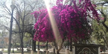 Plaza Libertad, Santiago del Estero. Foto: Mariana Herrera