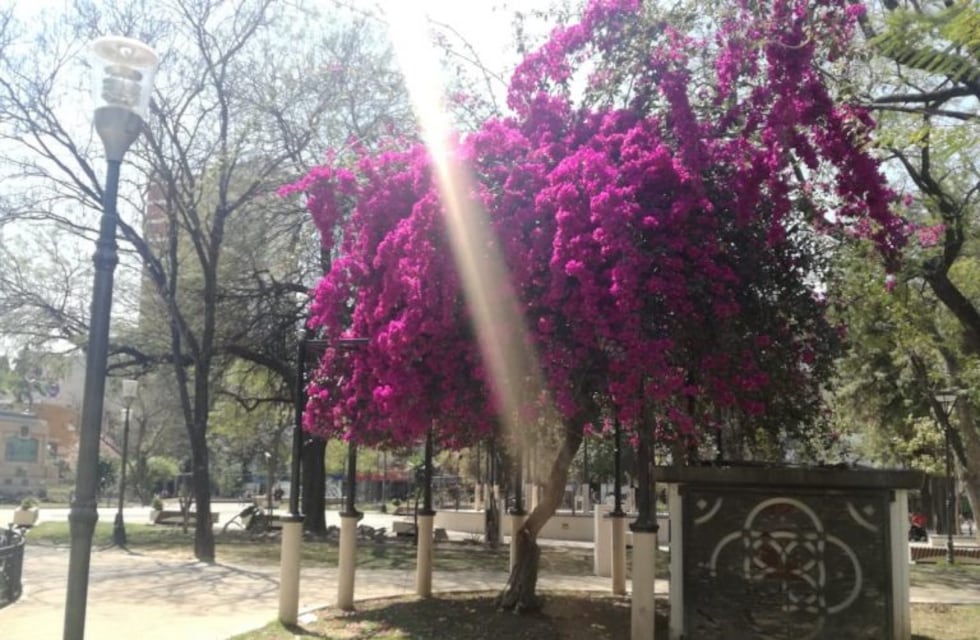 "La Madre de Ciudades" tendrá un jueves cálido y con sol