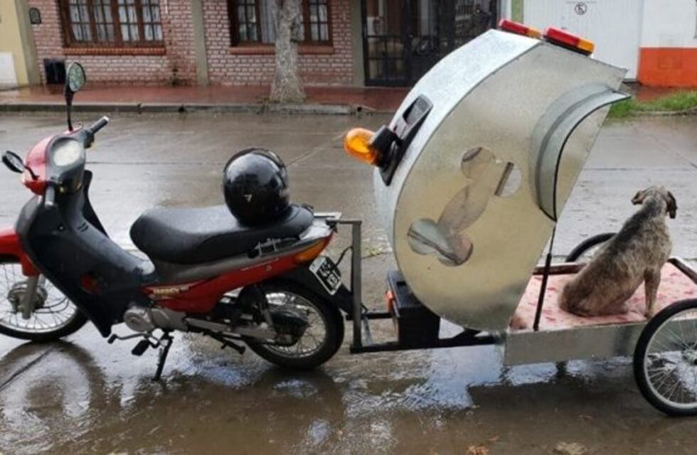 La motoambulancia de animales ya puede circular por la ciudad