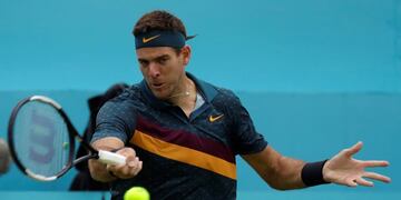 Juan Martin Del Potro\u002E (AP)
