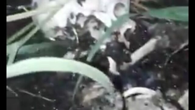 Los restos u00f3seos fueron hallados en Las Flores.