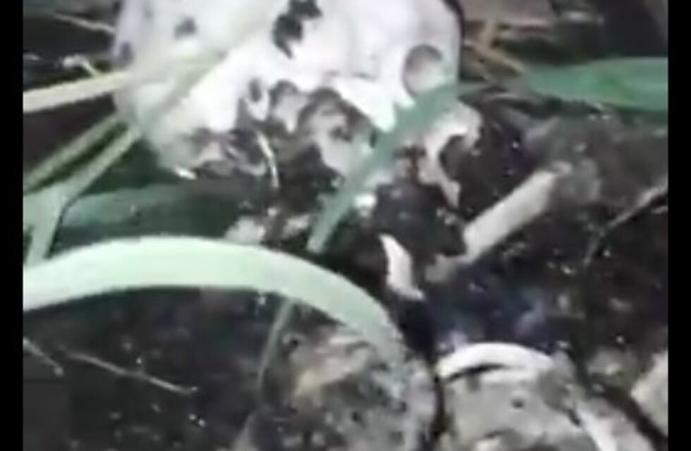 Investigan si los restos óseos hallados en barrio Las Flores pertenecen a una joven que es buscada desde febrero