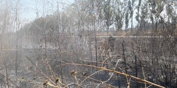 Incendios en Salta: se quemaron tres hectáreas en La Silleta\u002E (Policía de Salta)