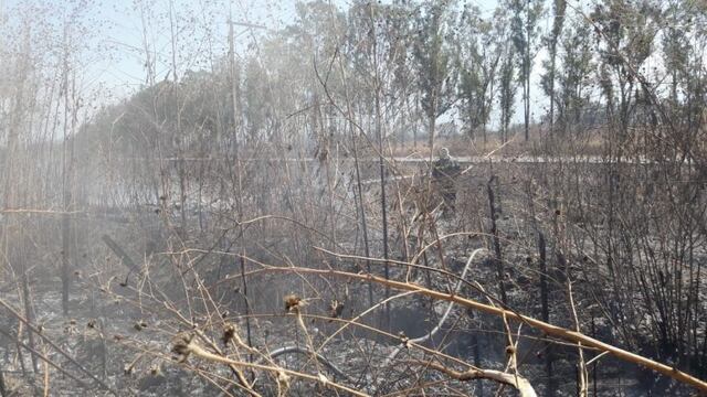 Incendios en Salta: se quemaron tres hectáreas en La Silleta\u002E (Policía de Salta)