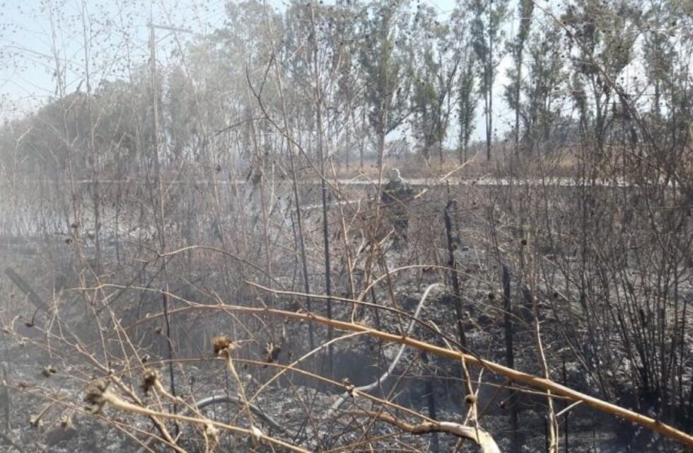 Incendios en Salta: se quemaron tres hectáreas en La Silleta