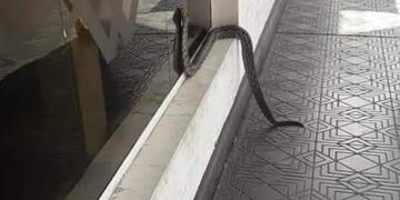 Lampalagua en el centro de Dolores