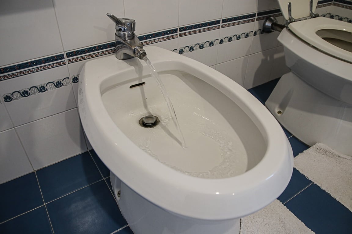 ¿Conviene o no usar bidet? por qué cada vez es menos elegido este "clásico" argentino en los baños