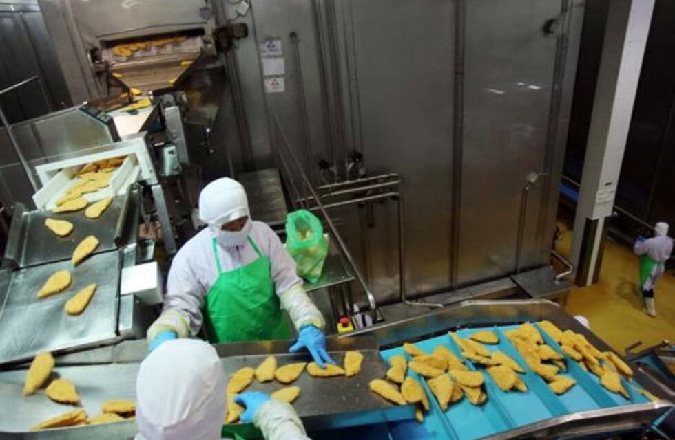 Nuevo sistema virtual para el registro y control de alimentos