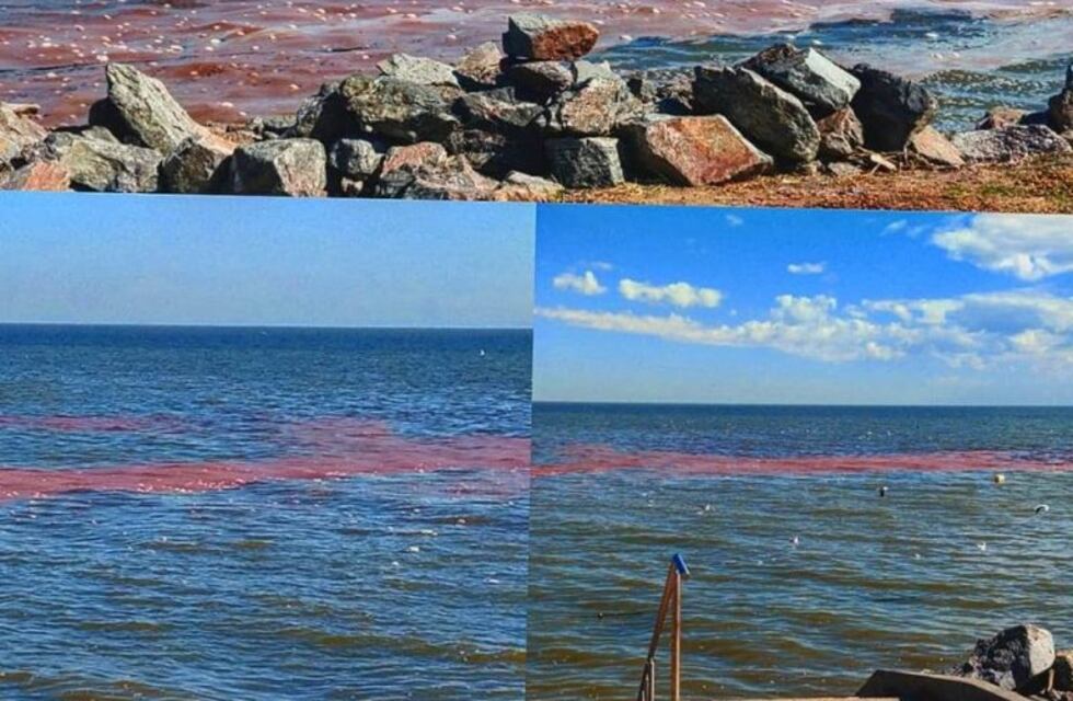 Mar Chiquita sigue sorprendiendo con sus colores