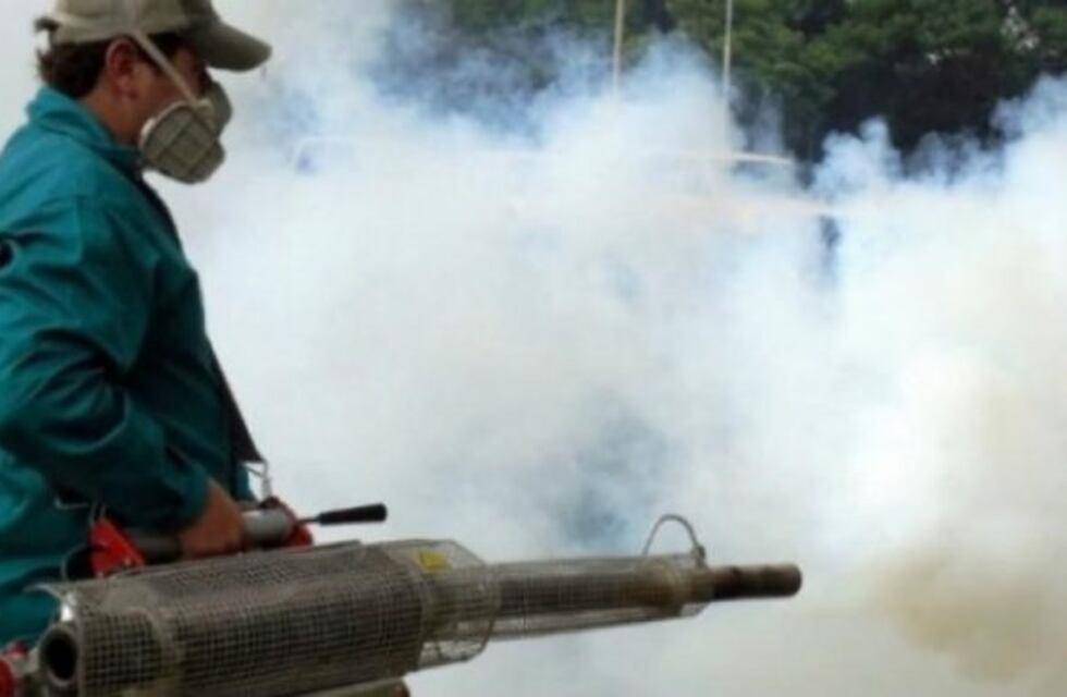 Brigadas de fumigación combaten criaderos de mosquitos