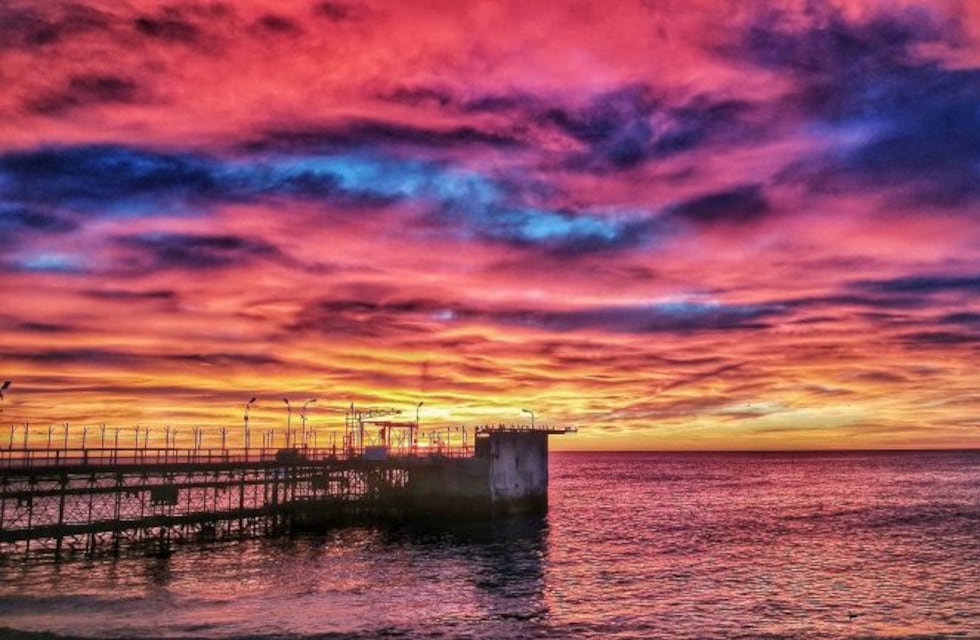 Invitan a conocer biodiversidad marina y flora autóctona