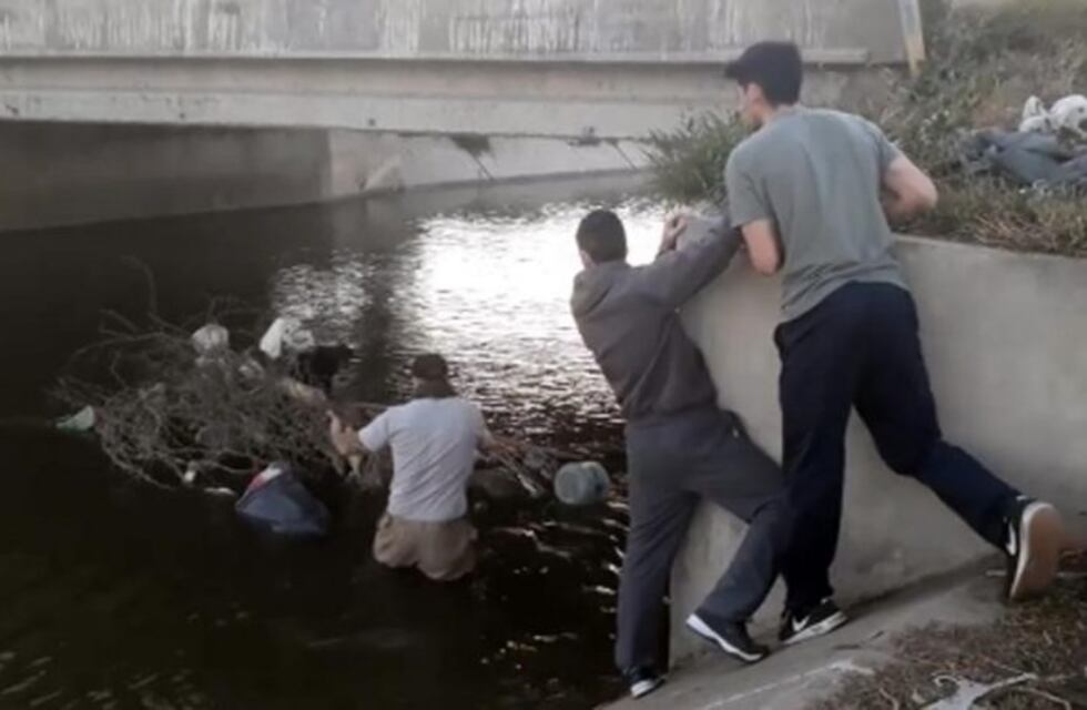 Tres santiagueños rescataron un perrito de un canal