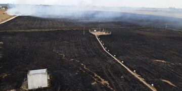 Impresionante en un campo cercano al aeropuerto de Corrientes\u002E