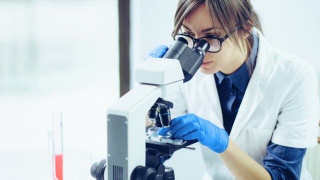 Provincia lanza inscripción a becas\u002E (Archivo)